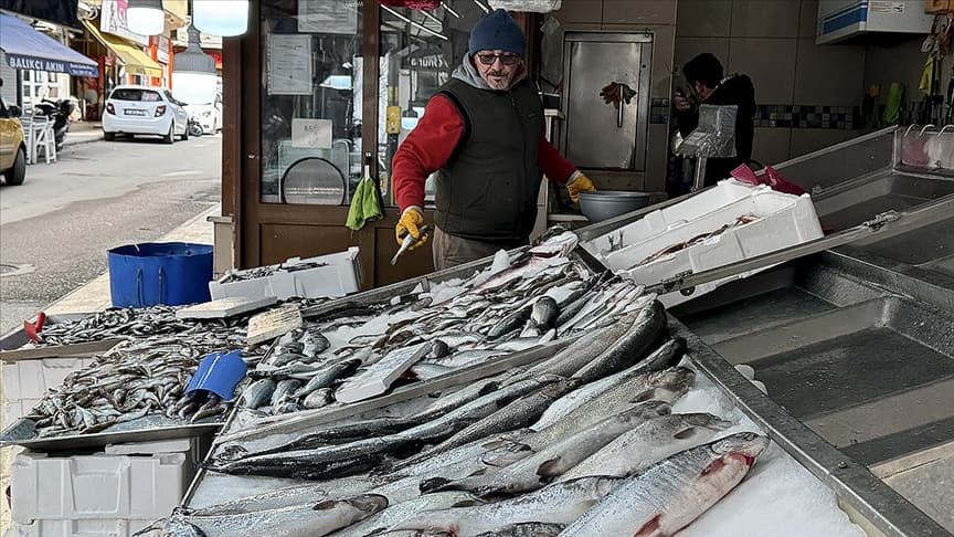 Decline in fish prices in Turkey; 80% reduction in sales during Ramadan