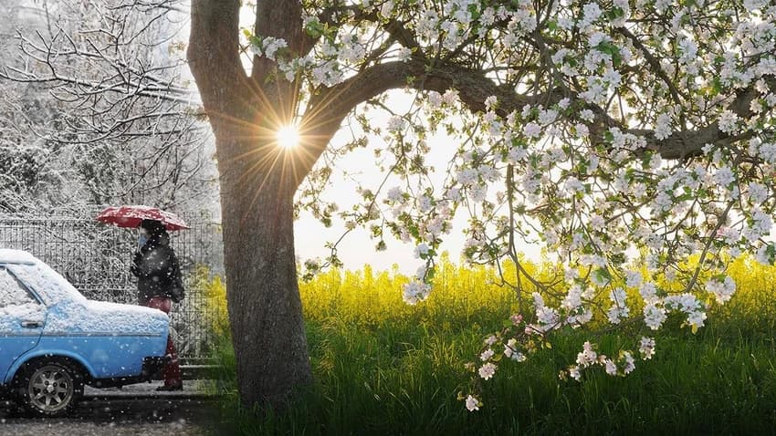 The weather in Turkey is getting warmer; the spring days will begin on Wednesday.