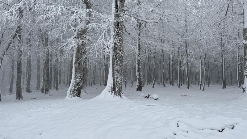 Unexpected Spring Snowfall; Winter Views in Turkish Provinces