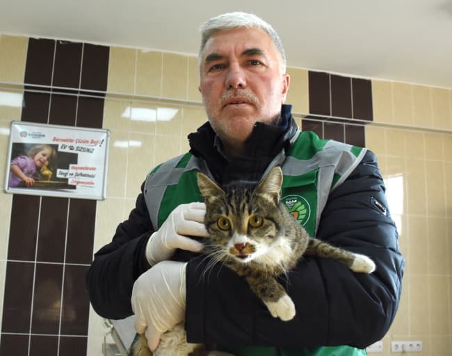 Rescue of a cat after 20 days under rubble.
