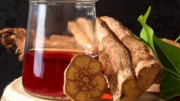 What is Ayahuasca Tea? Yusuf Guney Detained Over Encouraging Use